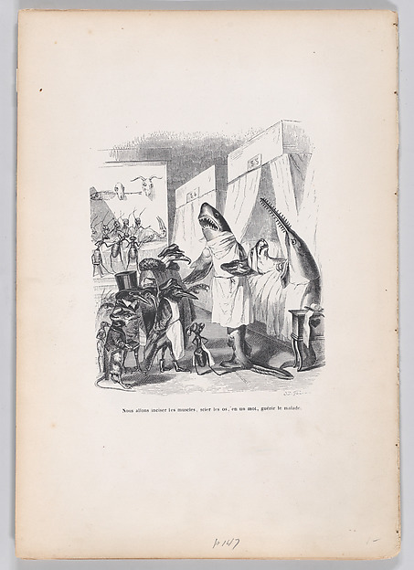 "We are going to incise the muscles, saw the bones, in a word, heal the sick" from Scenes from the Private and Public Life of Animals