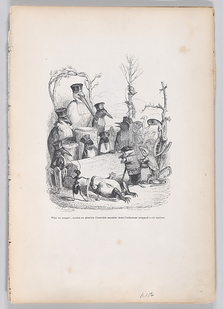 "The further we go, the less we penetrate the horrible mystery of which the unfortunate toad was a victim" from Scenes from the Private and Public Life of Animals 