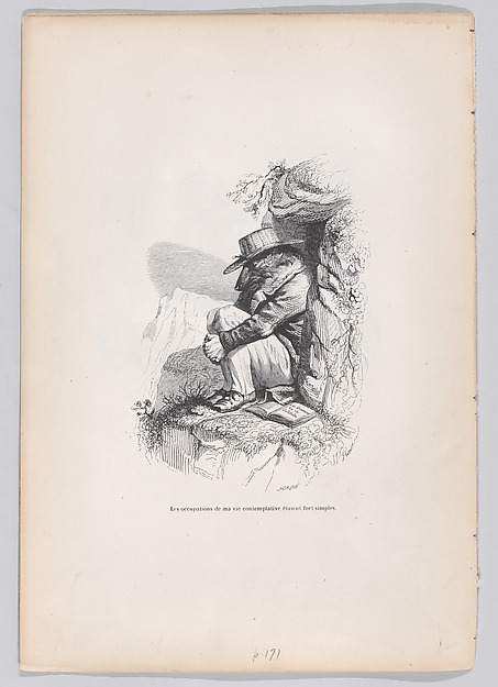 "The occupations of my contemplative life were very simple " from Scenes from the Private and Public Life of Animals