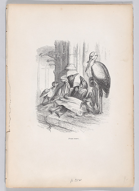 "I was a widow" from Scenes from the Private and Public Life of Animals