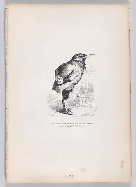 "Old, broken, haggard, whimsical, yet good, yet dedicated, and domestic by temperament" from Scenes from the Private and Public Life of Animals 