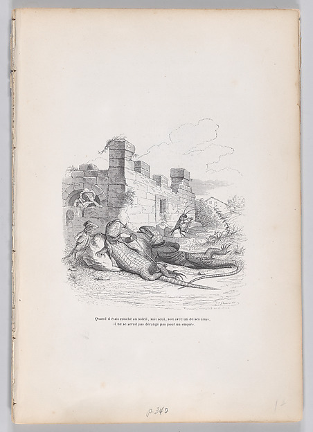 "When he was sleeping in the sun..." from Scenes from the Private and Public Life of Animals