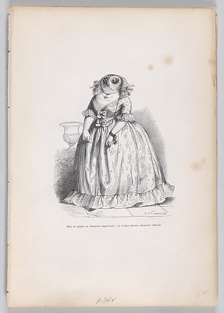 "She posed herself as a superior owl, and was just a ridiculous owl" from Scenes from the Private and Public Life of Animals
