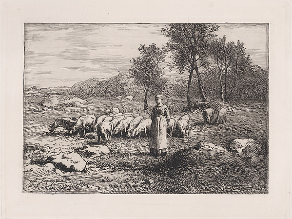 Troupeau de Porcs
