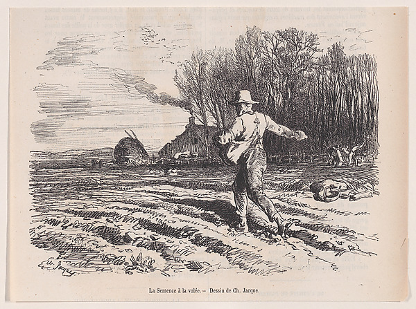 Scattering Seed, from "Le Magasin Pittoresque"