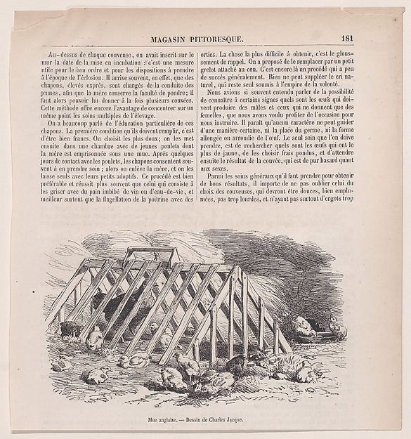 Mue anglaise; from Magasin Pittoresque