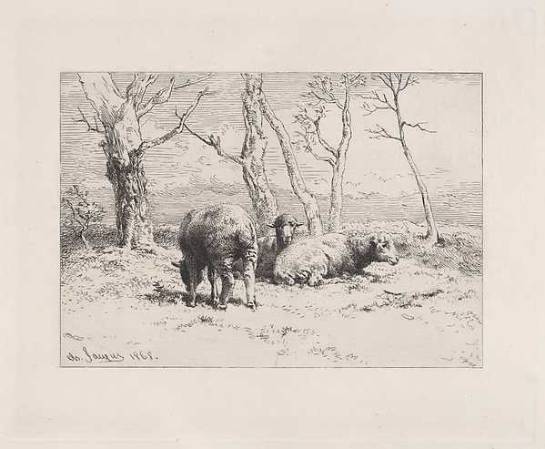Moutons