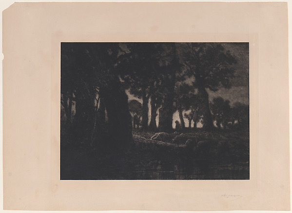 Forest Edge at Twilight