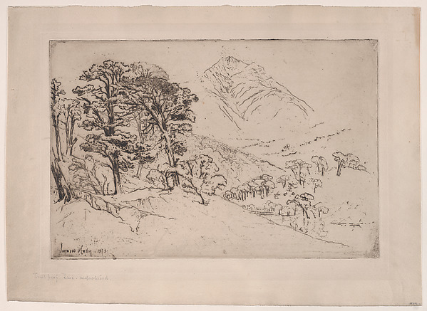 Scotch Firs, Inveroran