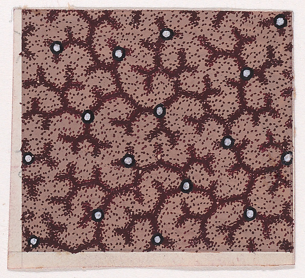 Textile Design with Scrolling Branches and Pearls