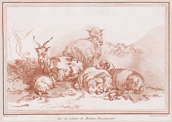Une chèvre et quatre moutons