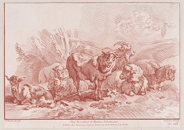 Animaux