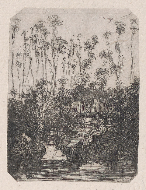 La Marais (The Swamp)