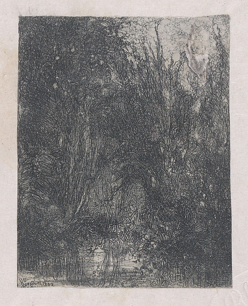 La Marécage (The Marsh)