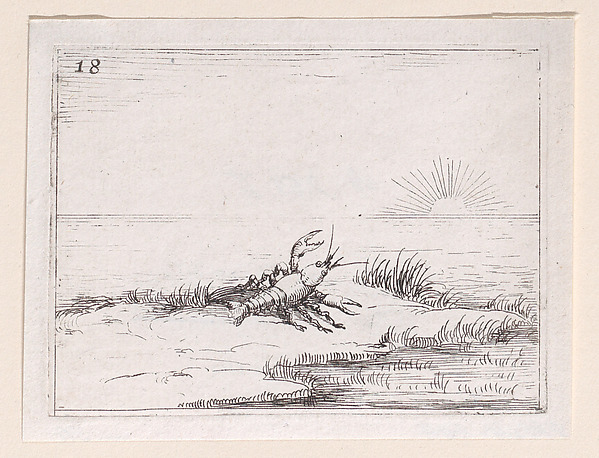 Une Ecrevisse Regardant le Soleil (A Crayfish Looking at the Sun), from Lux Claustri ou La Lumière du Cloitre (The Light of the Cloisters), plate 18