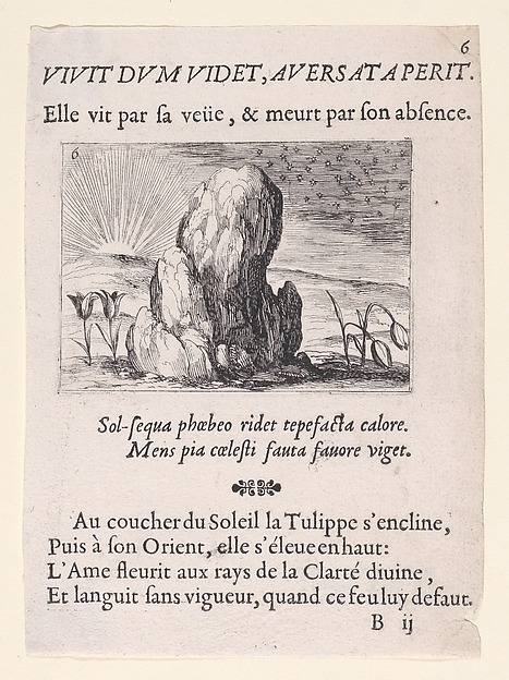 Les Tulipes et le Soleil (The Tulips and the Sun), from Lux Claustri ou La Lumière du Cloitre (The Light of the Cloisters), plate 6
