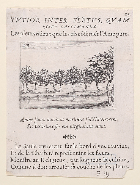 Le Saules au Bord de l'Eau (The Willows at the Waterfront), from Lux Claustri ou La Lumière du Cloitre (The Light of the Cloisters), plate 23