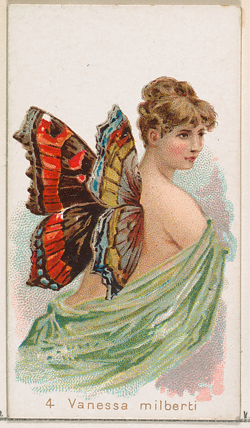 Card 4, Vanessa Milberti, from the Butterflies series (N183) issued by Wm. S. Kimball & Co.