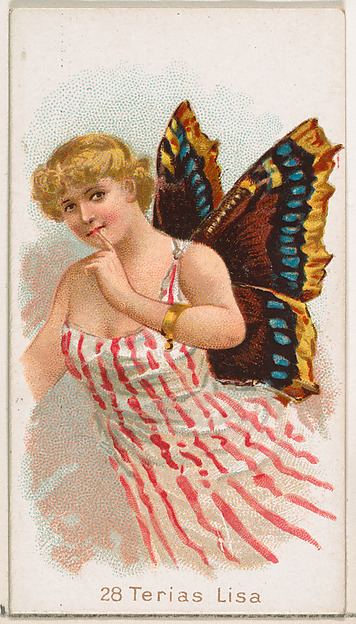 Card 28, Terias Lisa, from the Butterflies series (N183) issued by Wm. S. Kimball & Co.