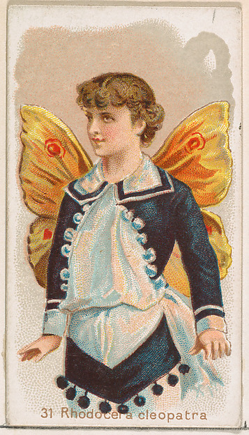 Card 31, Rhodocera Cleopatra, from the Butterflies series (N183) issued by Wm. S. Kimball & Co.