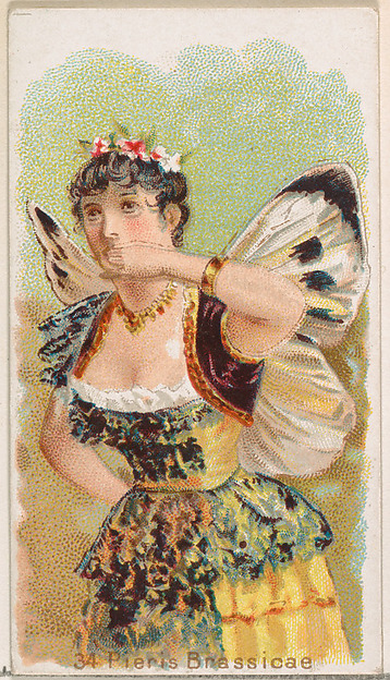 Card 34, Pieris Brassicae, from the Butterflies series (N183) issued by Wm. S. Kimball & Co.