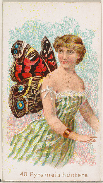Card 40, Pyrameis Huntera, from the Butterflies series (N183) issued by Wm. S. Kimball & Co.