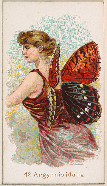 Card 42, Argynnis Idalia, from the Butterflies series (N183) issued by Wm. S. Kimball & Co.