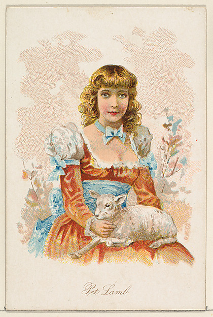Pet Lamb, from the Household Pets series (N194) issued by Wm. S. Kimball & Co.