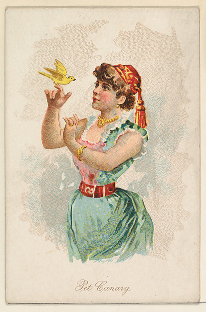 Pet Canary, from the Household Pets series (N194) issued by Wm. S. Kimball & Co.