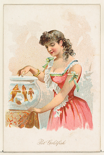 Pet Goldfish, from the Household Pets series (N194) issued by Wm. S. Kimball & Co.