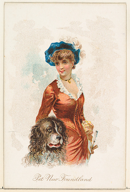 Pet Newfoundland, from the Household Pets series (N194) issued by Wm. S. Kimball & Co.