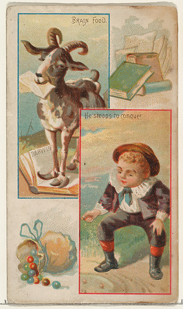 Brain Food / He Stoops to Conquer, from the Jokes series (N118) issued by Duke Sons & Co. to promote Honest Long Cut Tobacco