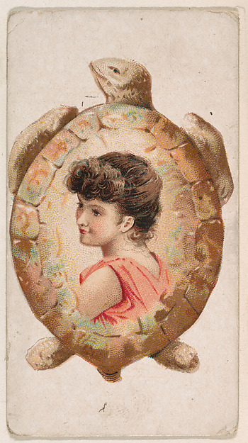 Turtle, from the Novelties series (N228, Type 5) issued by Kinney Bros.