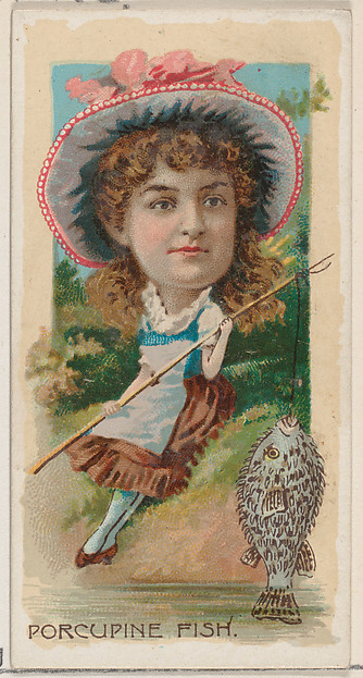 Porcupine Fish, from the series Fishers and Fish (N74) for Duke brand cigarettes