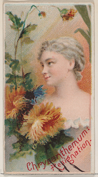 Chrysanthemum: Resignation, from the series Floral Beauties and Language of Flowers (N75) for Duke brand cigarettes