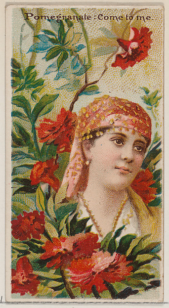 Pomegranate: Come to Me, from the series Floral Beauties and Language of Flowers (N75) for Duke brand cigarettes