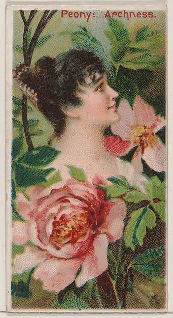 Peony: Archness, from the series Floral Beauties and Language of Flowers (N75) for Duke brand cigarettes