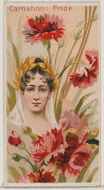 Carnation: Pride, from the series Floral Beauties and Language of Flowers (N75) for Duke brand cigarettes