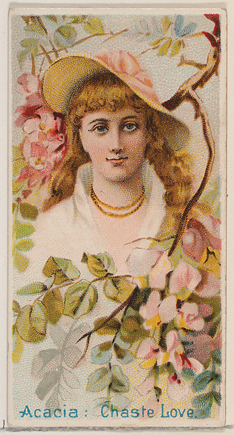 Acacia: Chaste Love, from the series Floral Beauties and Language of Flowers (N75) for Duke brand cigarettes