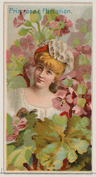 Primrose: Flirtation, from the series Floral Beauties and Language of Flowers (N75) for Duke brand cigarettes