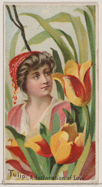 Tulip: A Declaration of Love, from the series Floral Beauties and Language of Flowers (N75) for Duke brand cigarettes