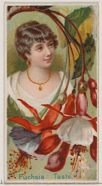 Fuchsia: Taste, from the series Floral Beauties and Language of Flowers (N75) for Duke brand cigarettes