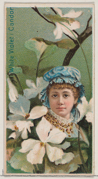White Violet: Candor, from the series Floral Beauties and Language of Flowers (N75) for Duke brand cigarettes