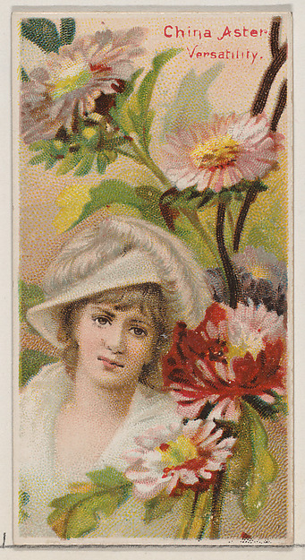 China Aster: Versatility, from the series Floral Beauties and Language of Flowers (N75) for Duke brand cigarettes