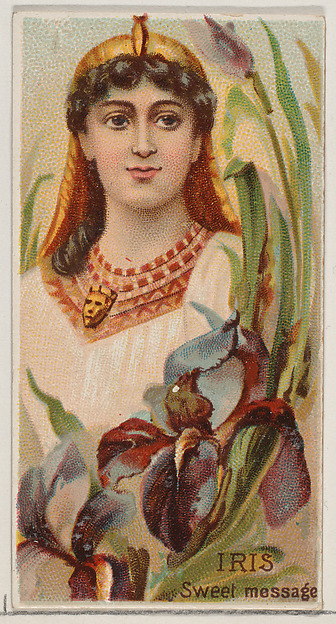 Iris: Sweet Message, from the series Floral Beauties and Language of Flowers (N75) for Duke brand cigarettes