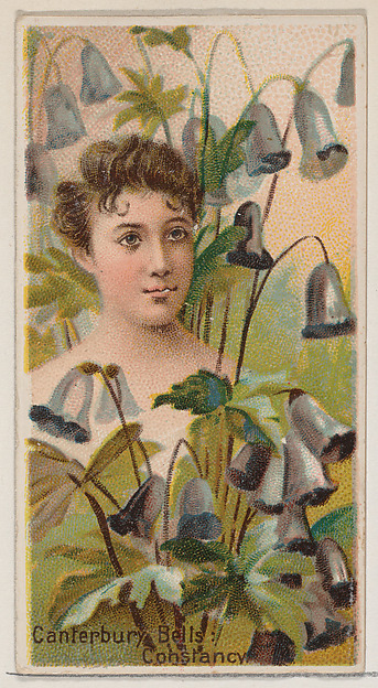 Canterbury Bells: Constancy, from the series Floral Beauties and Language of Flowers (N75) for Duke brand cigarettes