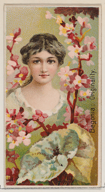 Begonia: Originality, from the series Floral Beauties and Language of Flowers (N75) for Duke brand cigarettes