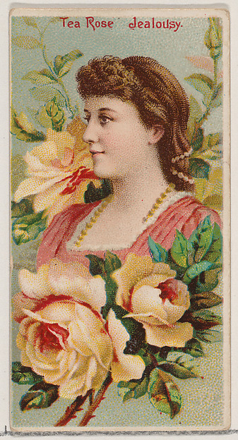 Tea Rose: Jealousy, from the series Floral Beauties and Language of Flowers (N75) for Duke brand cigarettes