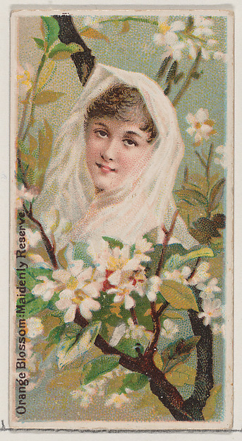Orange Blossom: Maidenly Reserve, from the series Floral Beauties and Language of Flowers (N75) for Duke brand cigarettes