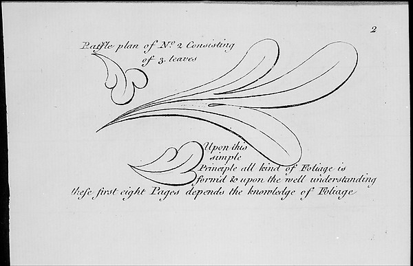 The Principles of Ornament, or the Youth's Guide to the Drawing of Foliage